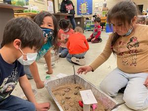 students work together to create a shelter